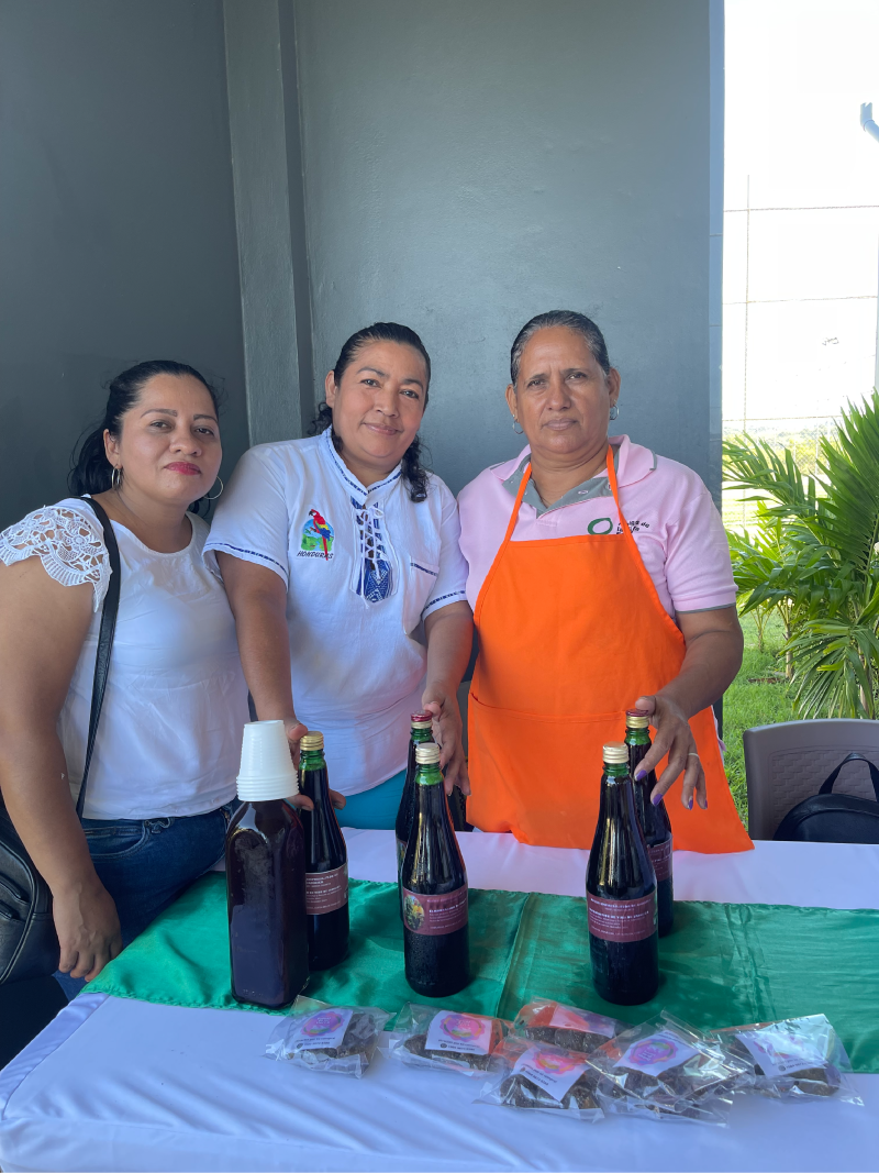 Vino flor de Jamaica