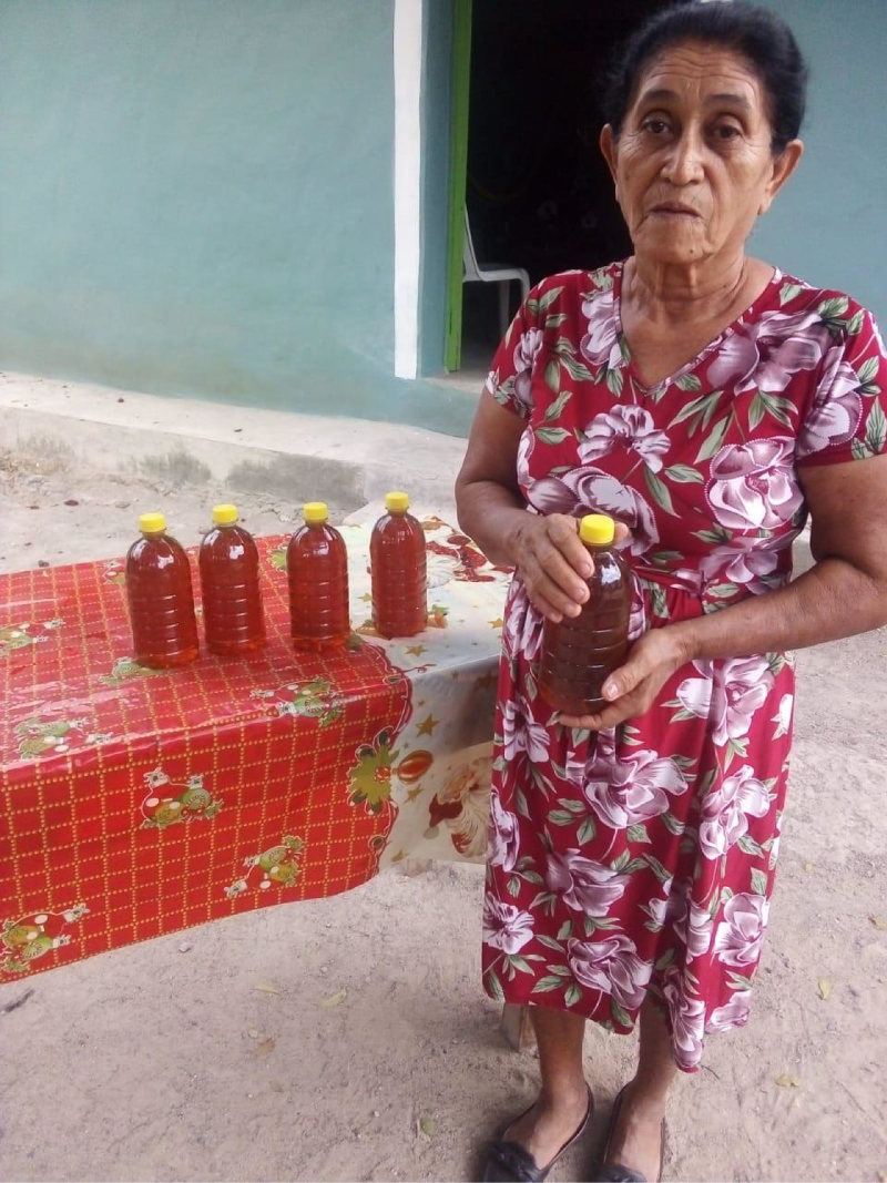 Miel del Brasilar