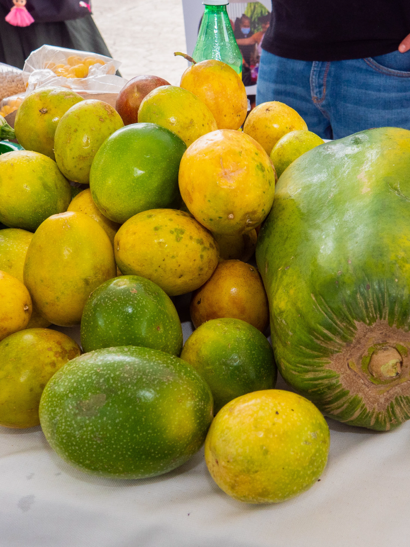 Frutas Lizzy