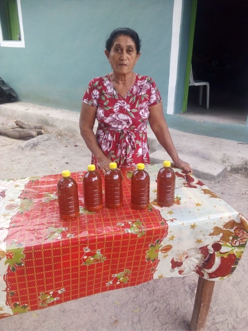 Miel del Brasilar