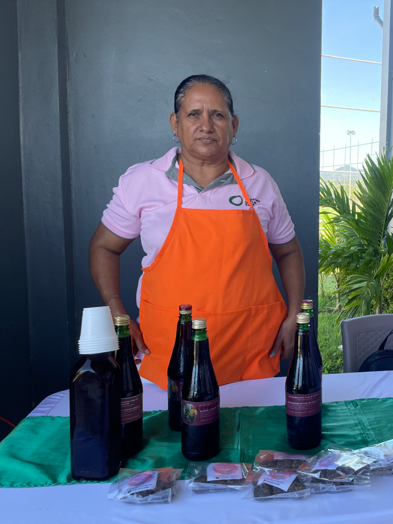 Vino flor de Jamaica
