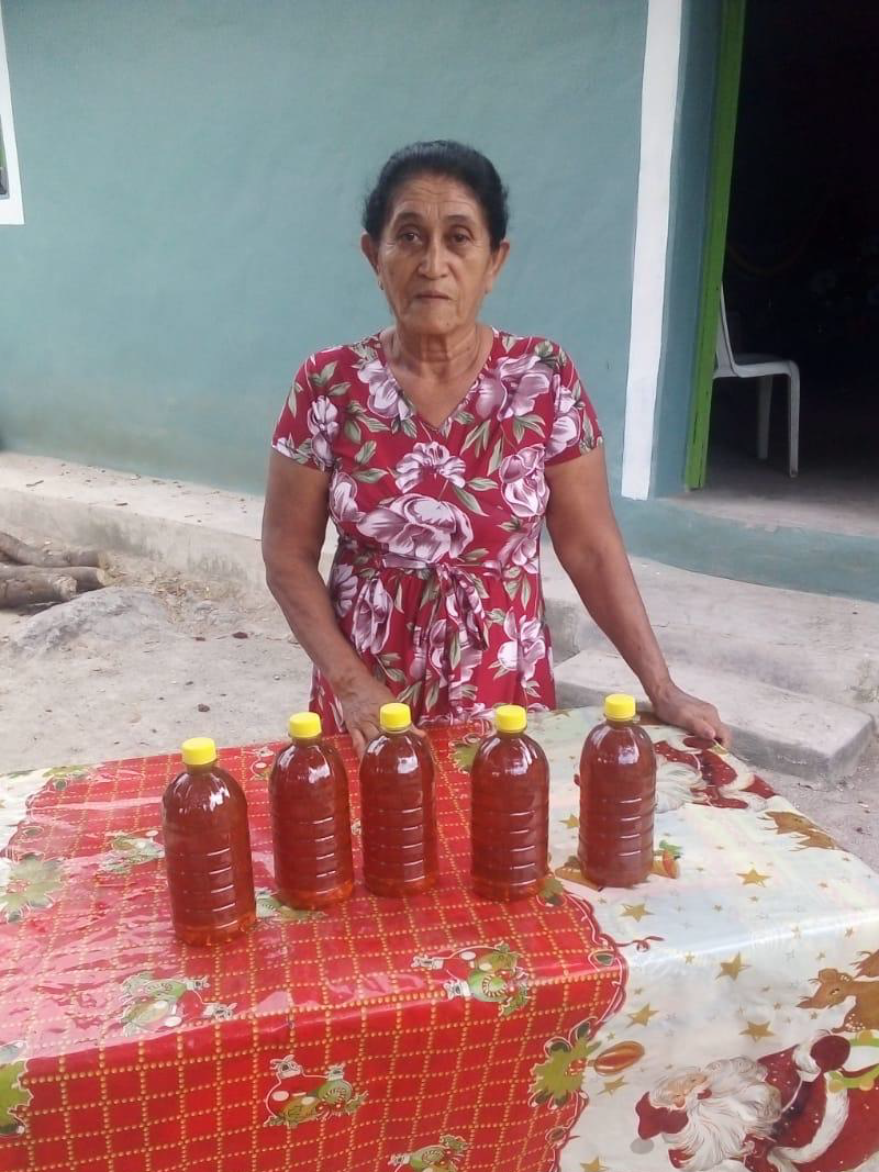 Miel del Brasilar